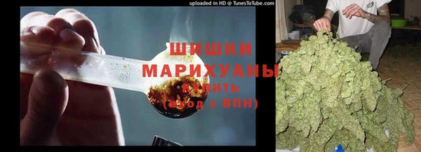 не бодяженный Белокуриха