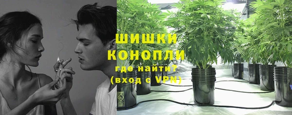 эйфоретик Беломорск