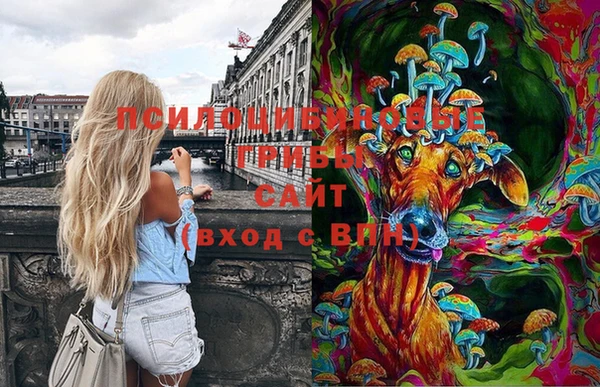 эйфоретик Беломорск