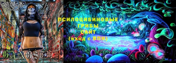 шишки Балахна