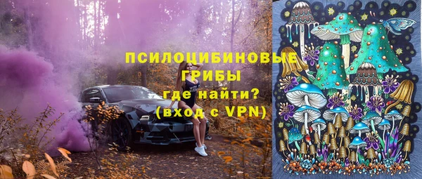 не бодяженный Белокуриха